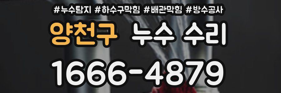 양천구 누수 수리