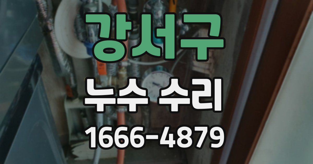 강서구 누수 수리