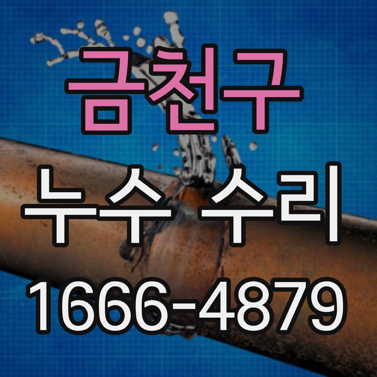 금천구 누수 수리