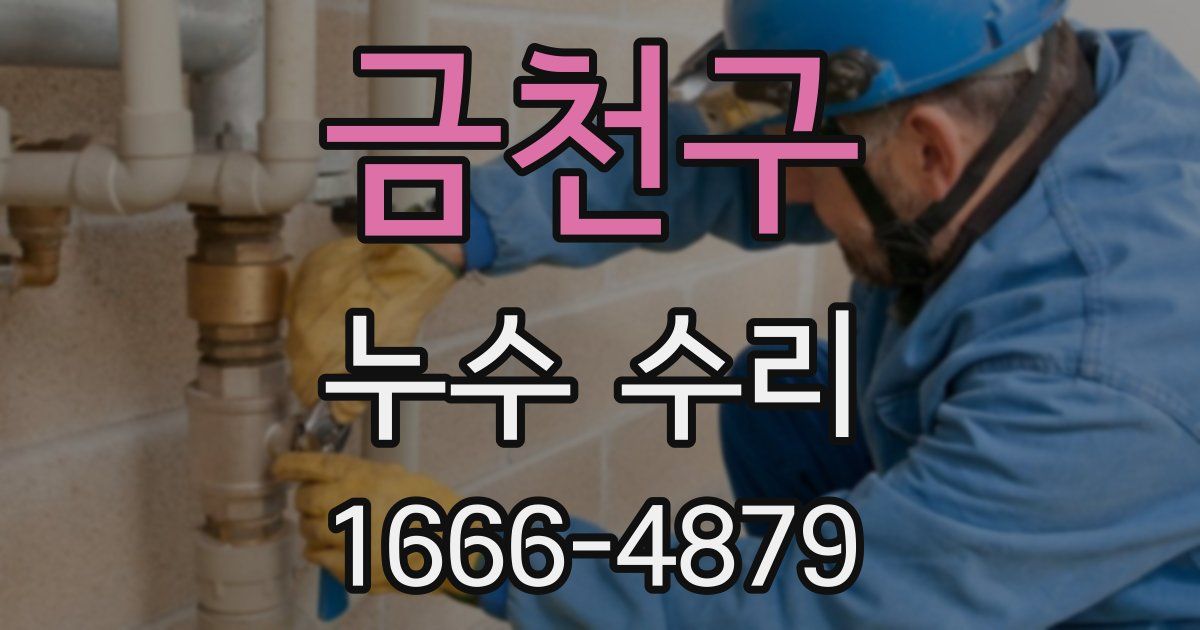 금천구 누수 수리