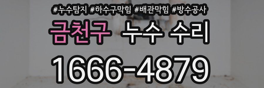 금천구 누수 수리