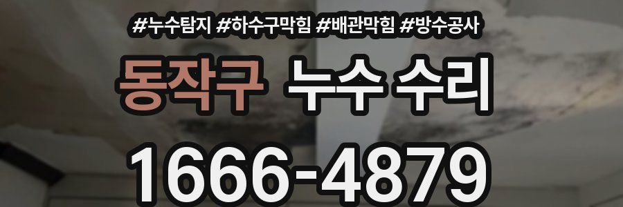 동작구 누수 수리