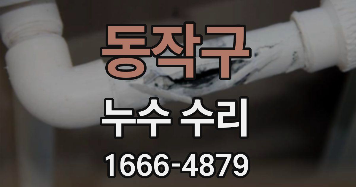 동작구 누수 수리
