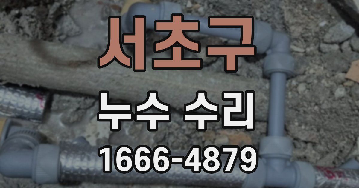 서초구 누수 수리