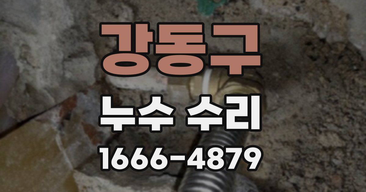 강동구 누수 수리