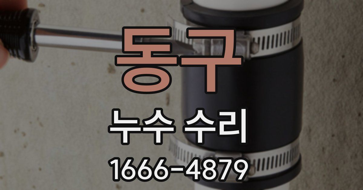 동구 누수 수리