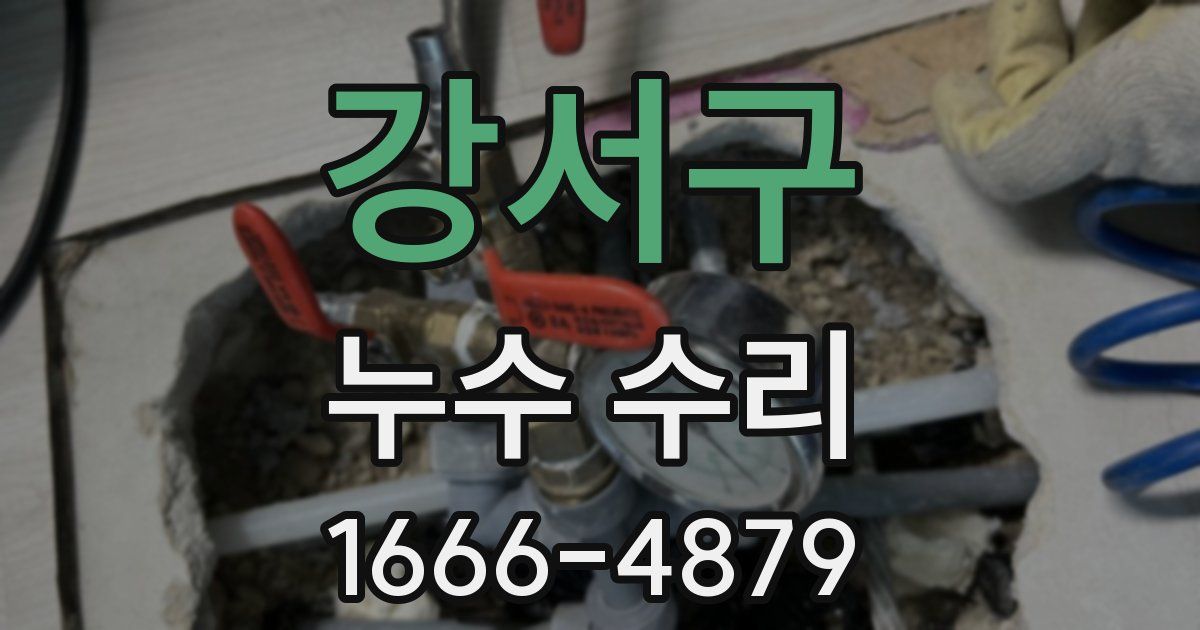 강서구 누수 수리