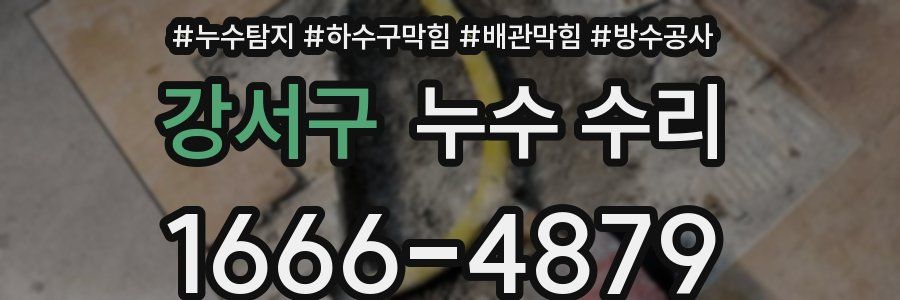 강서구 누수 수리