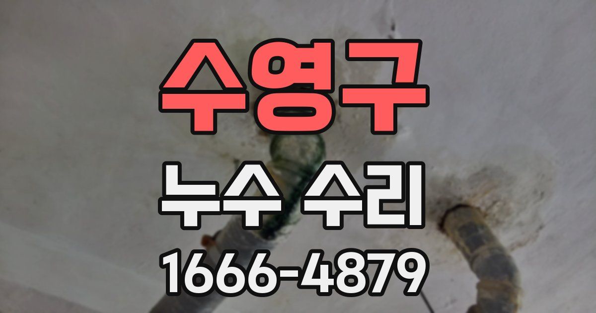 수영구 누수 수리
