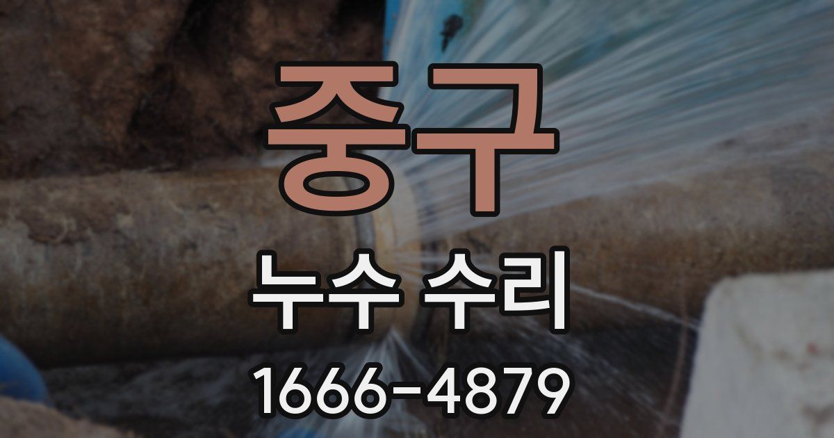 중구 누수 수리