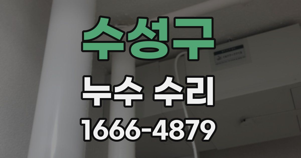 수성구 누수 수리