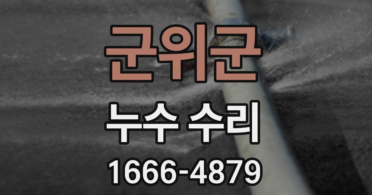군위군 누수 수리