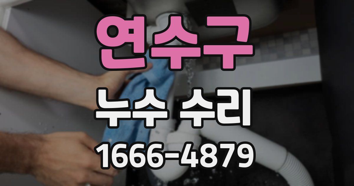 연수구 누수 수리