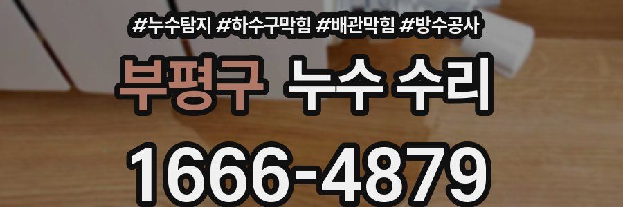 부평구 누수 수리