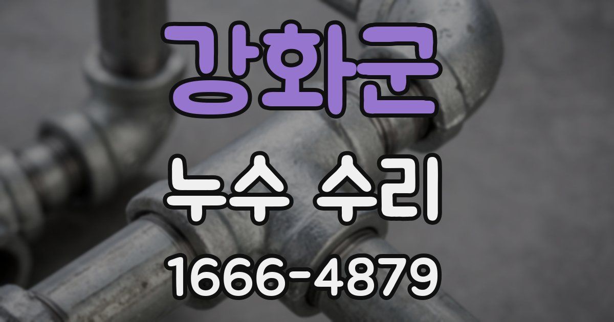 강화군 누수 수리