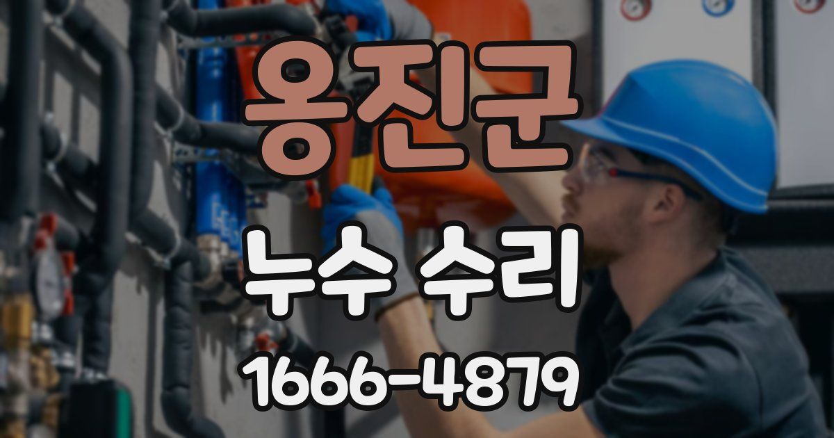 옹진군 누수 수리