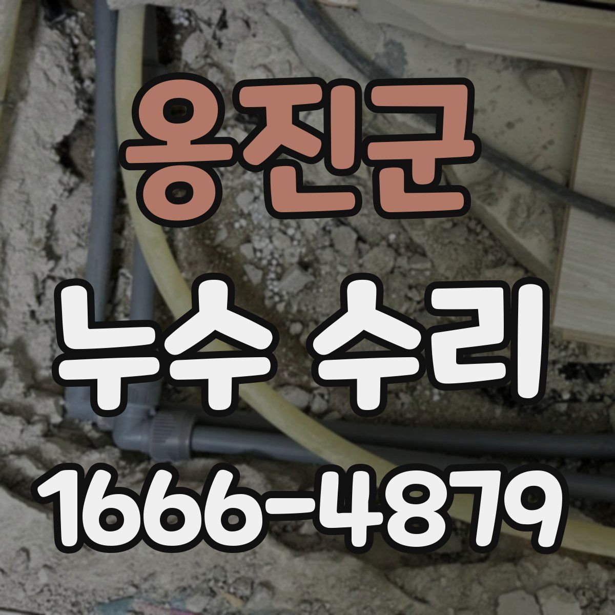옹진군 누수 수리