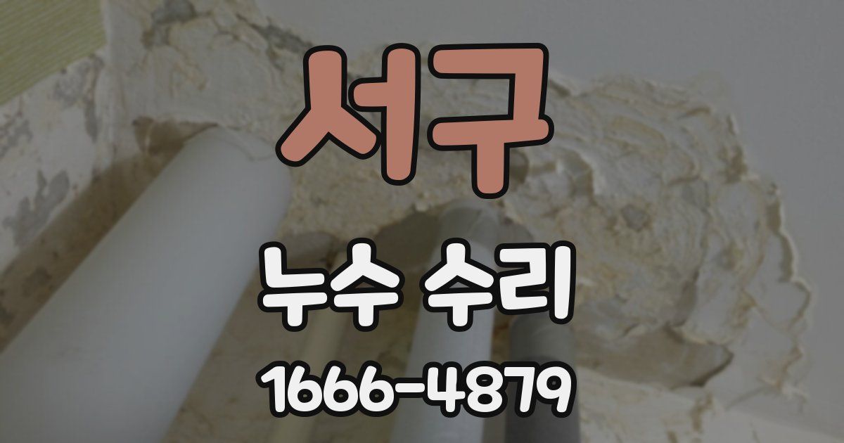 서구 누수 수리