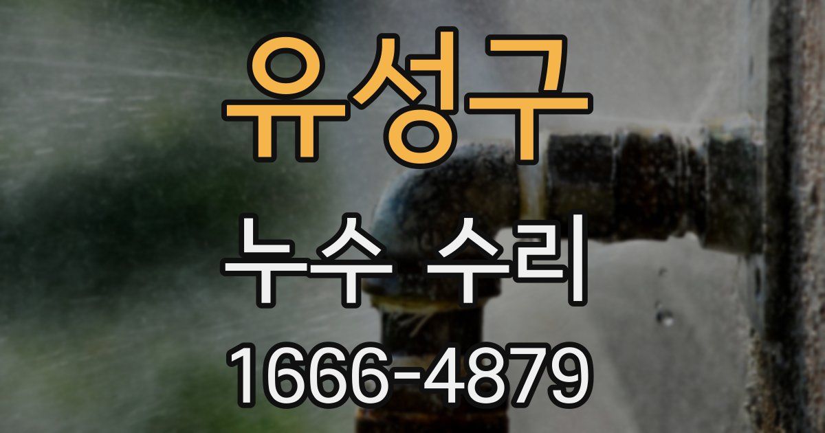 유성구 누수 수리