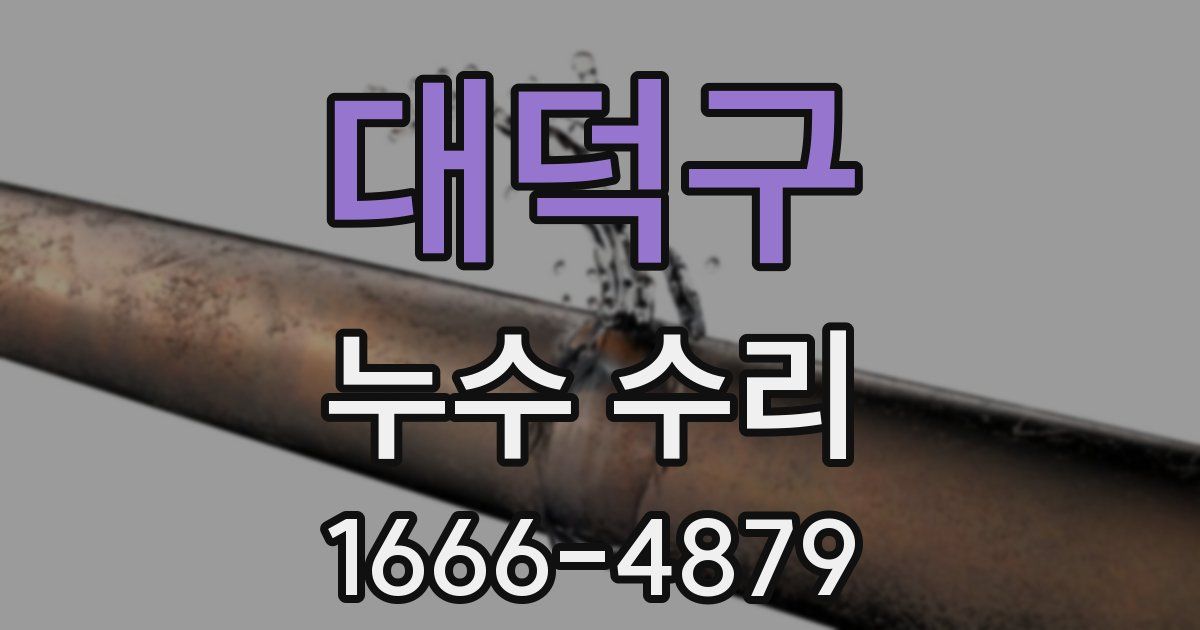 대덕구 누수 수리