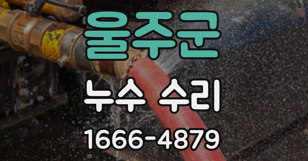 울주군 누수 수리