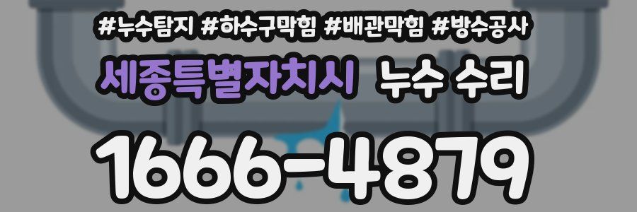 세종특별자치시 누수 수리