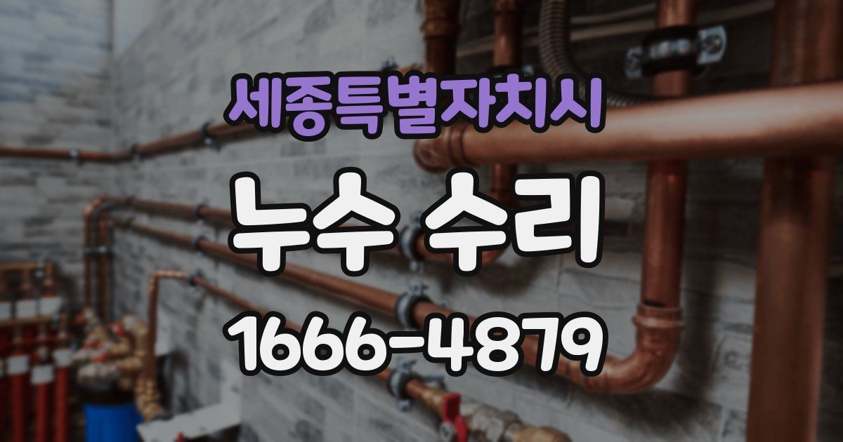 세종특별자치시 누수 수리