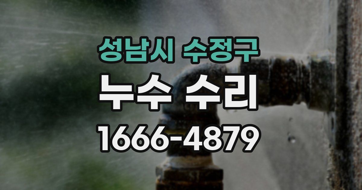 성남시 수정구 누수 수리