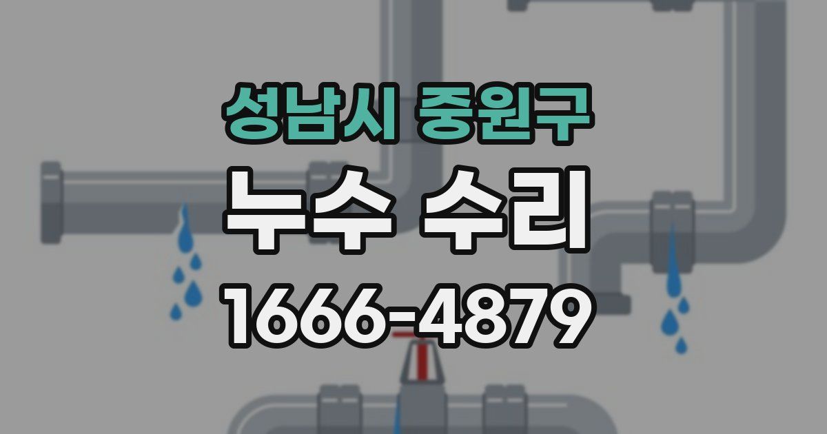 성남시 중원구 누수 수리