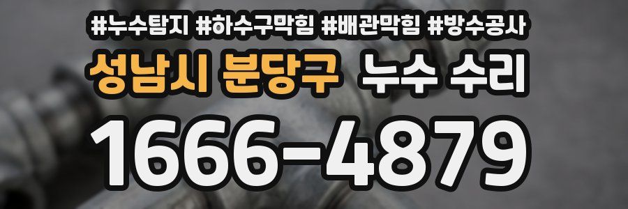 성남시 분당구 누수 수리