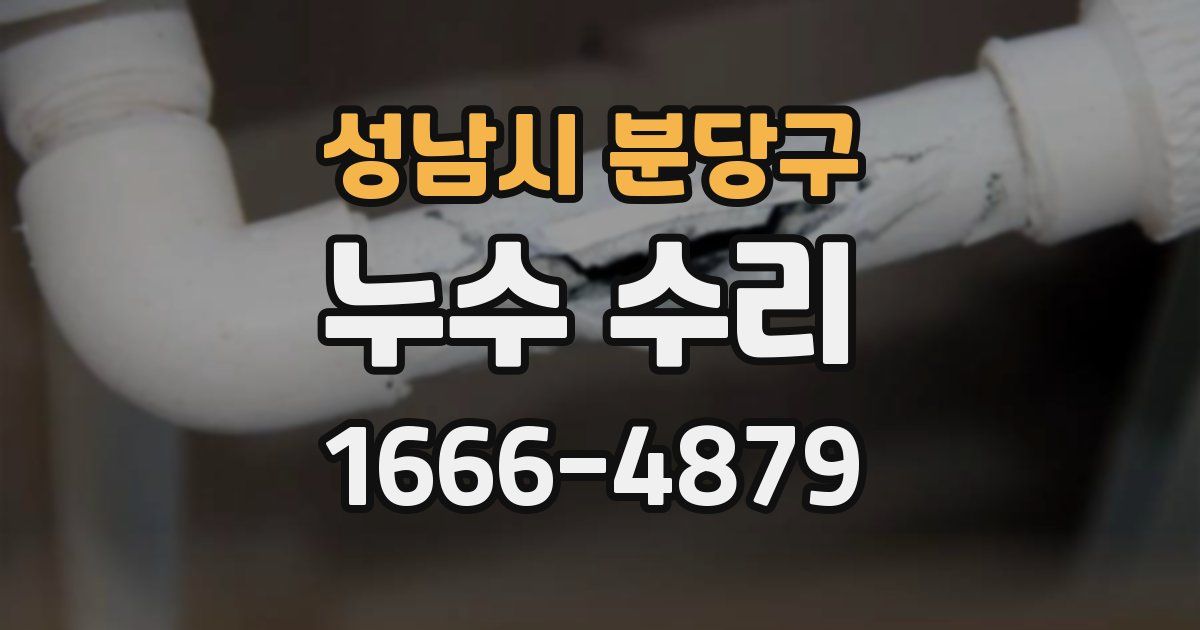성남시 분당구 누수 수리