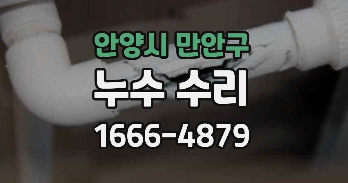 안양시 만안구 누수 수리
