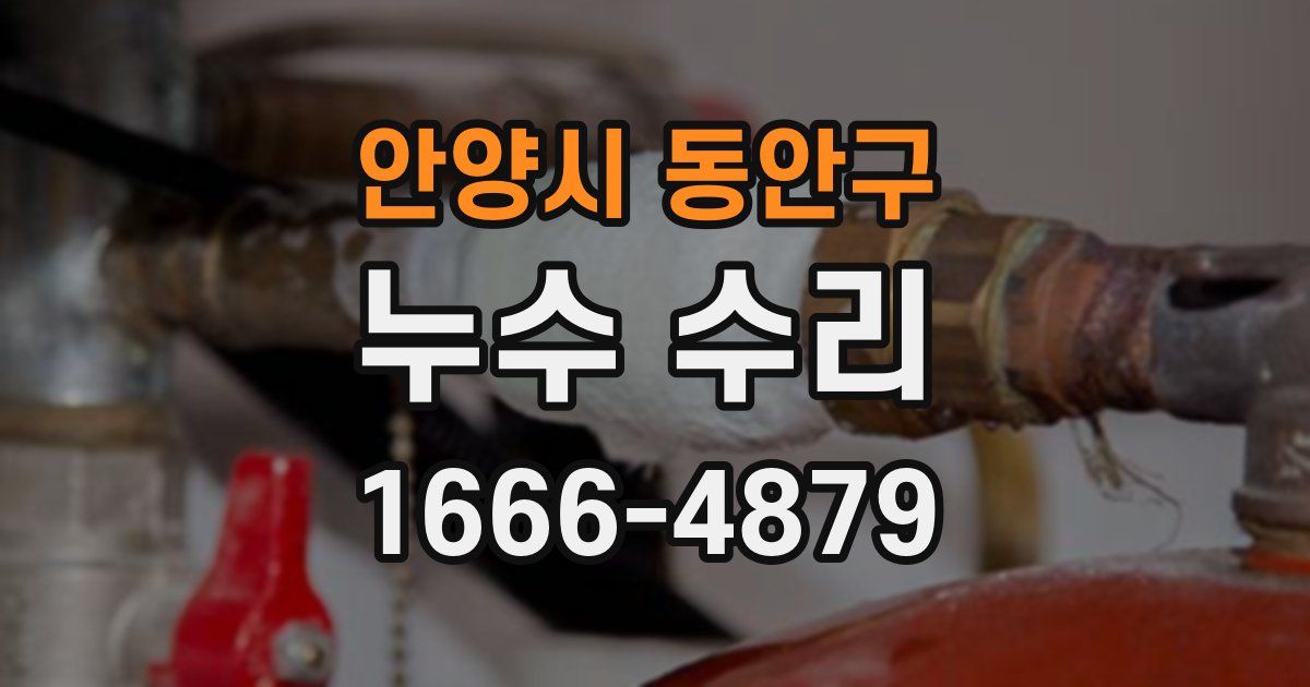 안양시 동안구 누수 수리