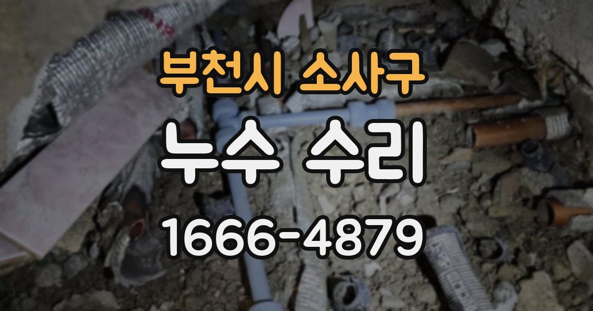 부천시 소사구 누수 수리