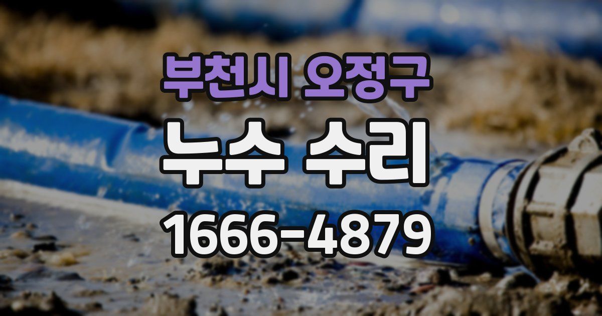 부천시 오정구 누수 수리