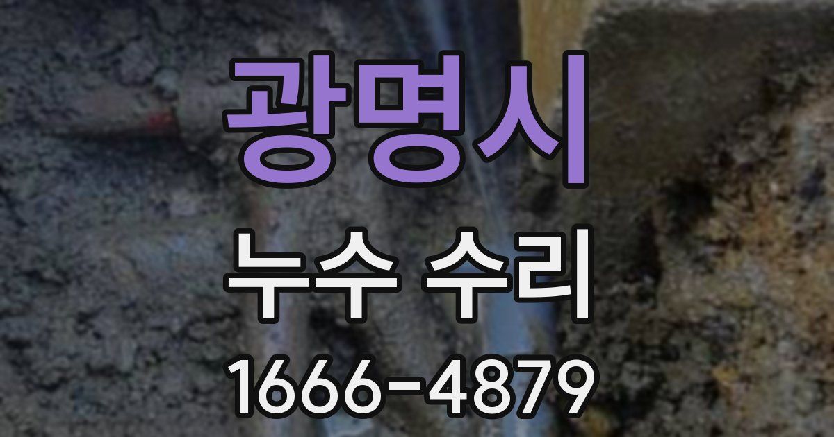 광명시 누수 수리
