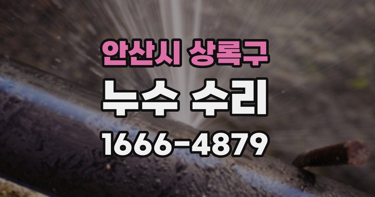 안산시 상록구 누수 수리