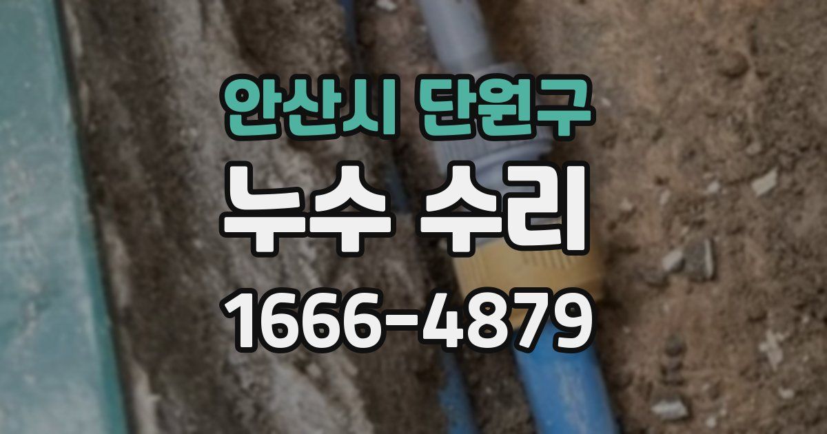 안산시 단원구 누수 수리