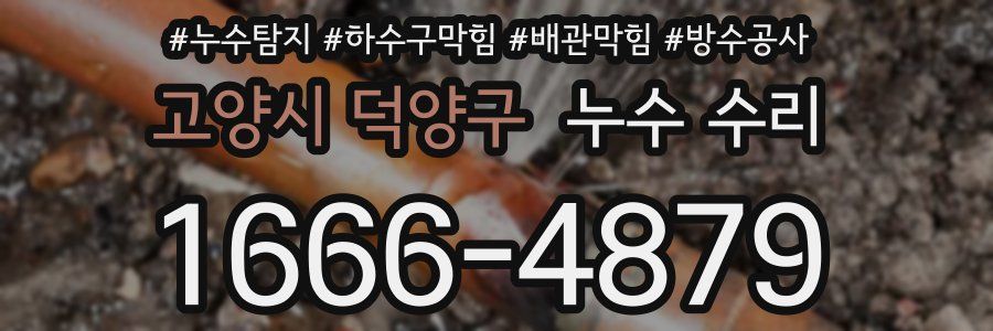 고양시 덕양구 누수 수리
