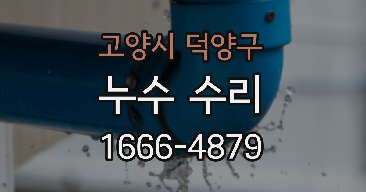 고양시 덕양구 누수 수리