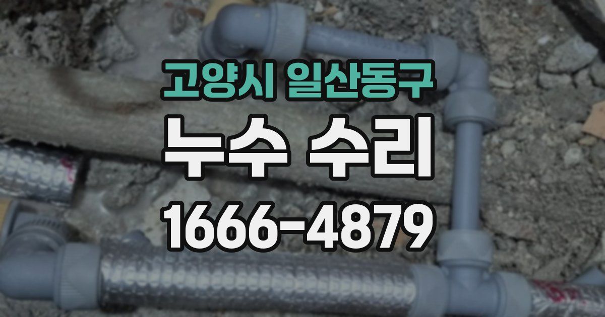 고양시 일산동구 누수 수리