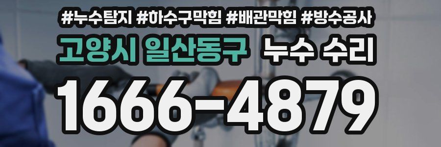 고양시 일산동구 누수 수리
