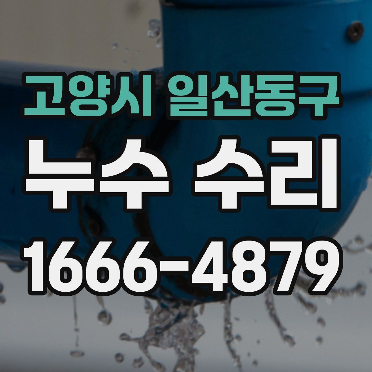 고양시 일산동구 누수 수리