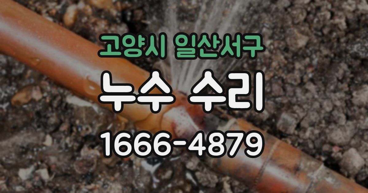 고양시 일산서구 누수 수리