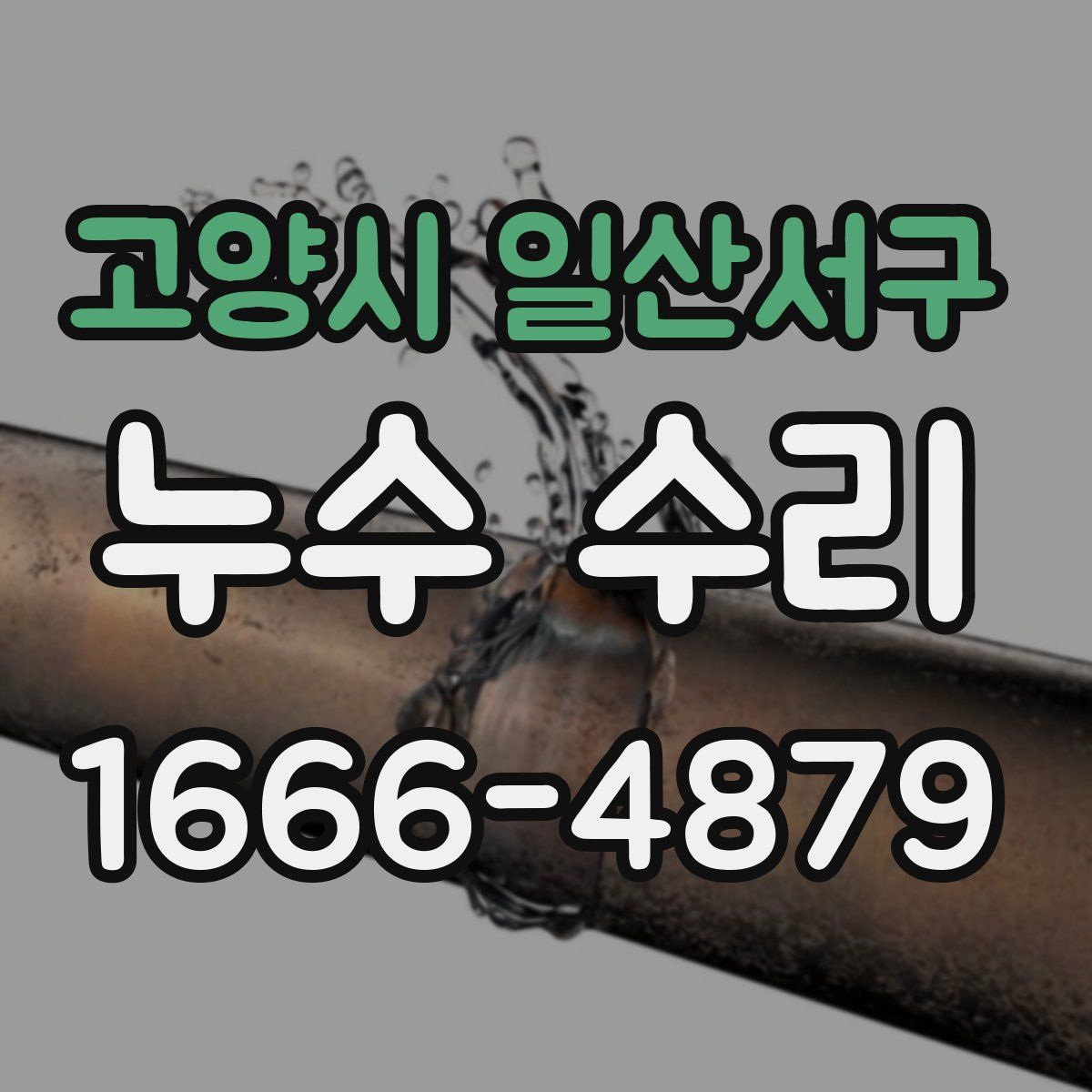 고양시 일산서구 누수 수리