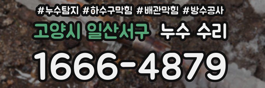 고양시 일산서구 누수 수리