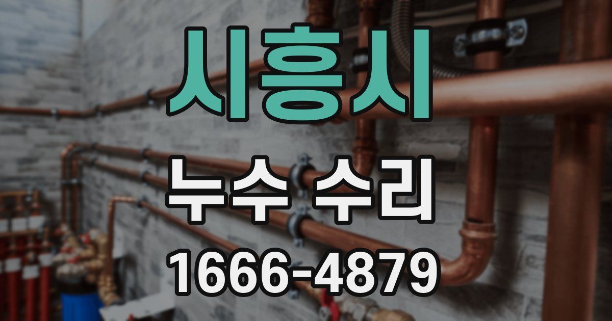 시흥시 누수 수리