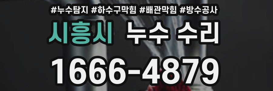 시흥시 누수 수리