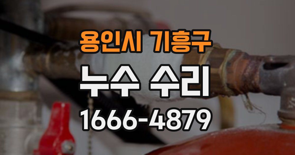 용인시 기흥구 누수 수리