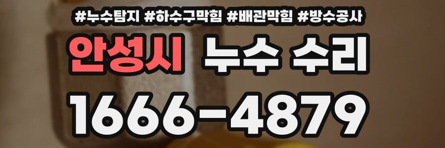 안성시 누수 수리